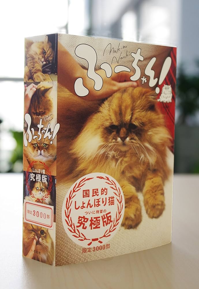 Amazon.co.jp: ふーちゃん! : 牧野直樹, ニシワキタダシ: 本